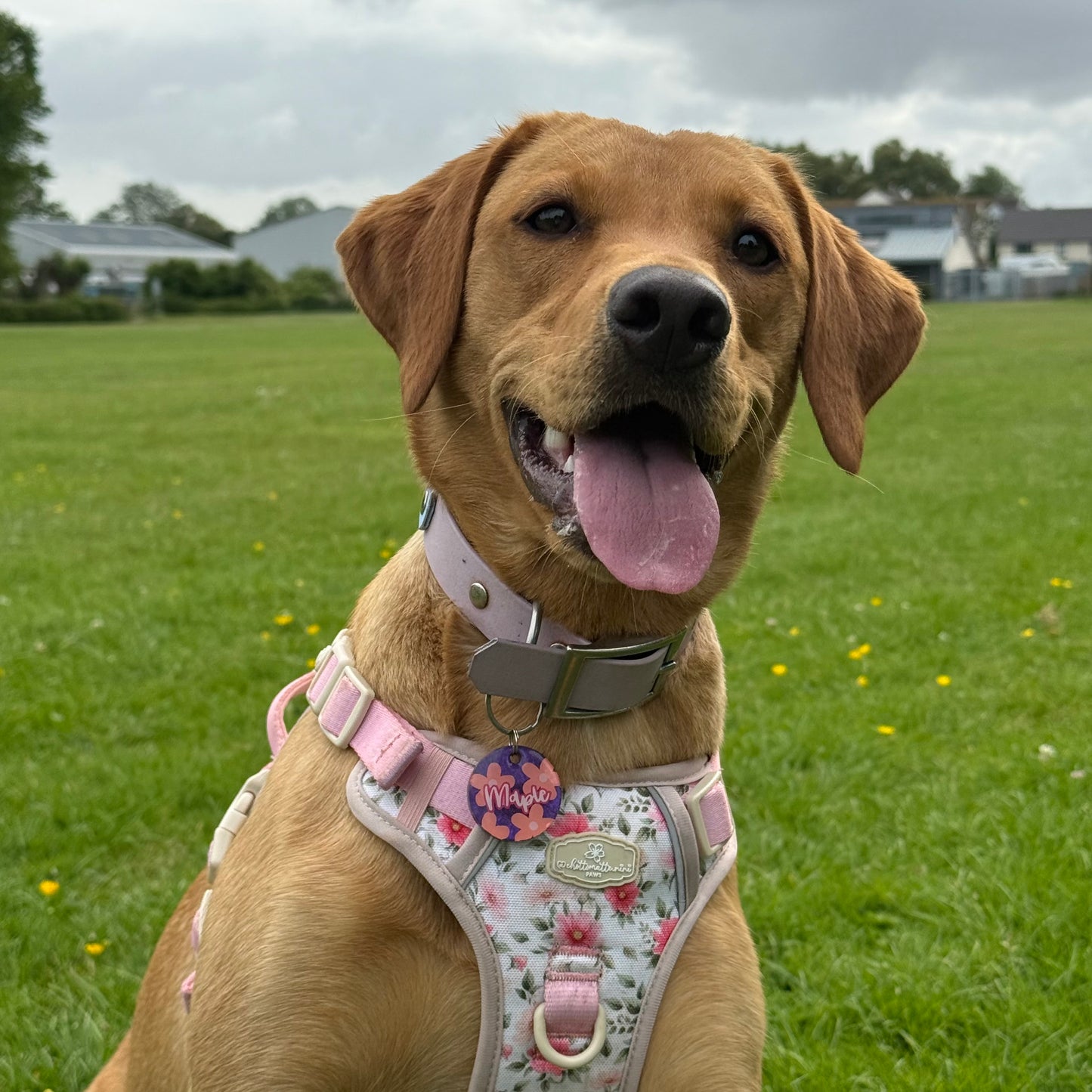 Flower Power Dog Tags