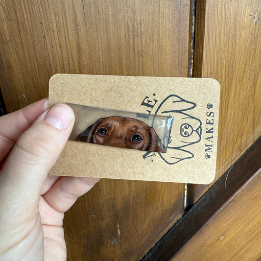 Peekaboo Pet Portrait Keyring