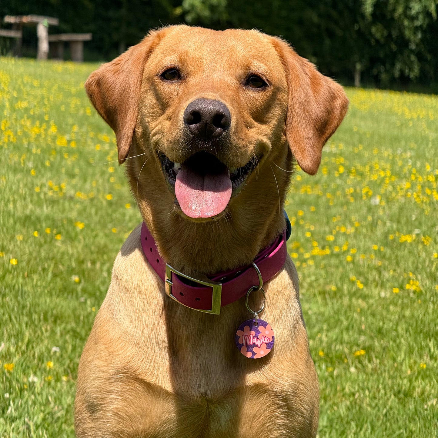 Flower Power Dog Tags